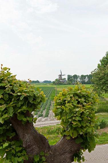 Bed And Breakfast Lauwersstate Paesens Exterior photo